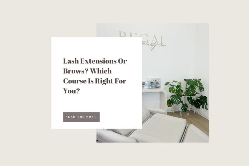 Lash Extensions Or Brows? Which Course Is Right For You?