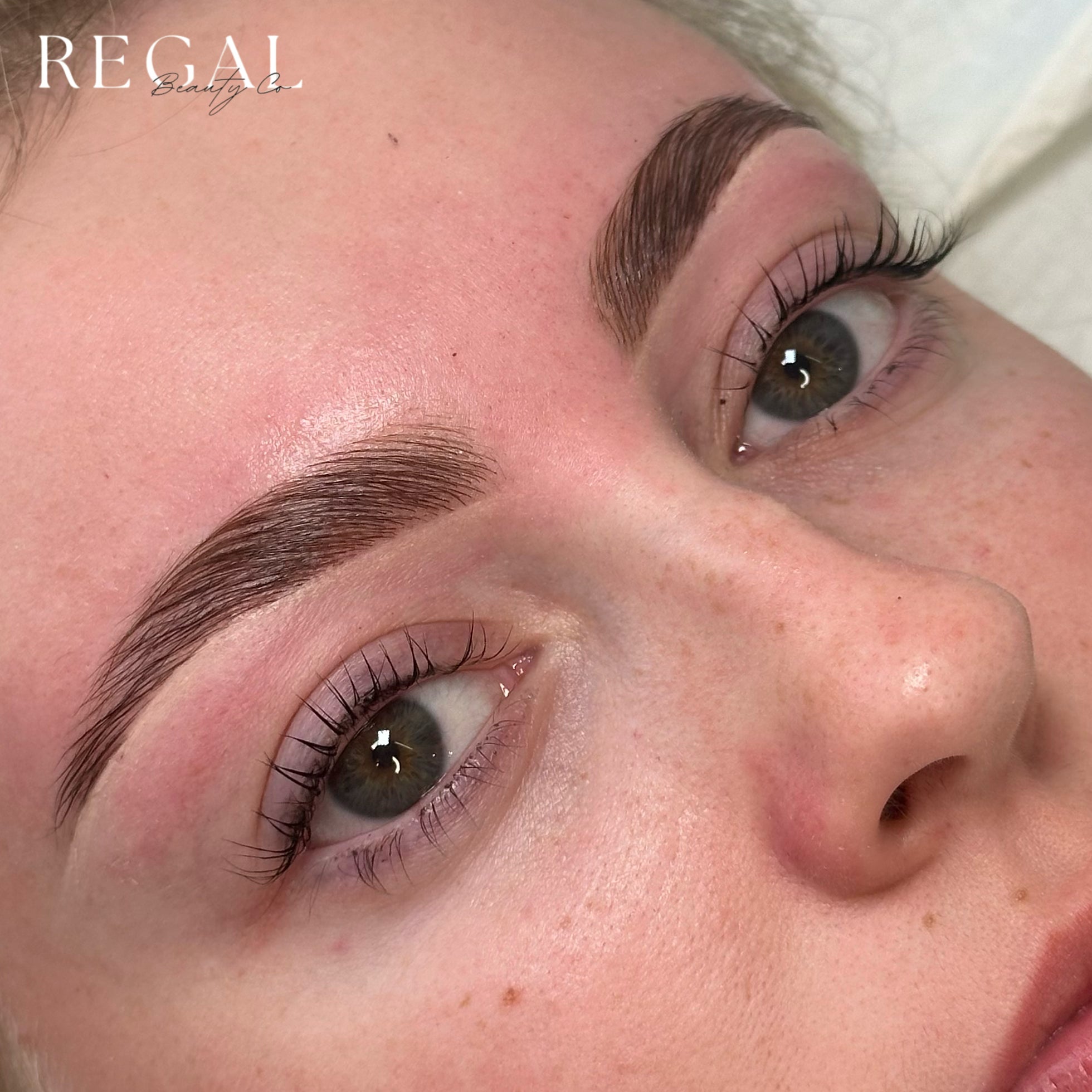 All Things Brows Online Course